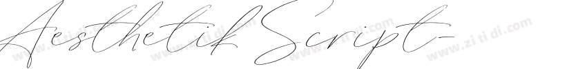 Aesthetik Script字体转换